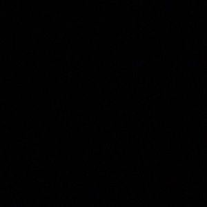 Meet your Posher, Cheyenne